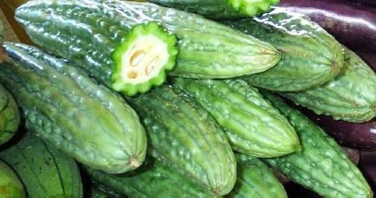 Ampalaya